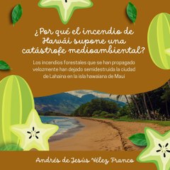 -ANDRÉS DE JESÚS VÉLEZ FRANCO- INCENDIO DE HAWÁI SUPONE UNA CATÁSTROFE MEDIOAMBIENTAL (PARTE 1) (@AndresdeJesus90)