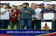 Más de 4 mil hectáreas de soya se están produciendo en el estado Monagas