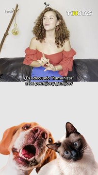 ¿Es correcto humanizar a tu mascota? En D peludos de TVNotas te contamos