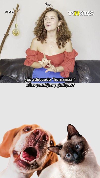 ¿Es correcto humanizar a tu mascota? En D peludos de TVNotas te contamos