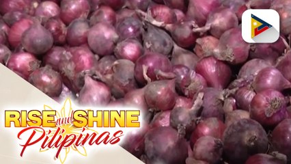 DA, inilatag ang mga hakbang para mapigilan ang pagsipa ng presyo ng sibuyas