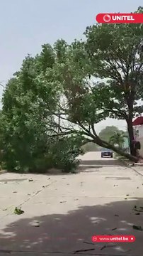 ¡ALERTA! ráfagas de viento azotan a Santa Cruz. No deslices, en este video te explicamos todo lo que debe saber para tener precaución