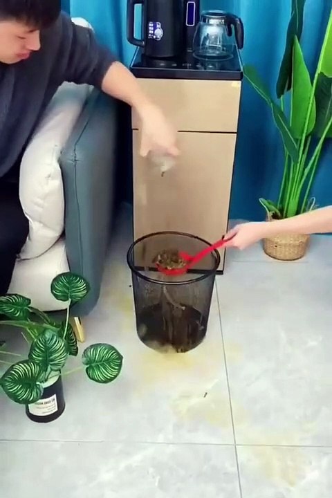 Smart home gadget
