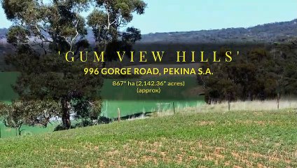 Gorge Road, Pekina, South Australia | August 24, 2023 | Farmonline