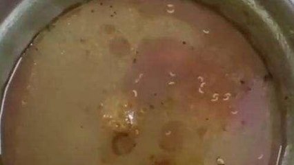 अलीगढ़: जवाहरलाल नेहरू मेडिकल कॉलेज के खाने में कीड़े निकलने का आरोप, लोगों में दिखा आक्रोश