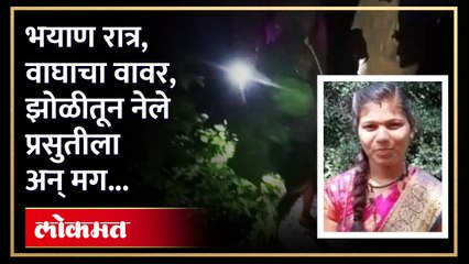 सरकार वेगवान...पण महिलेला प्रसूतीसाठी झोळीच्या आधाराने हिंस्त्र श्वापदांची वाट पार करावी लागते तेव्हा..