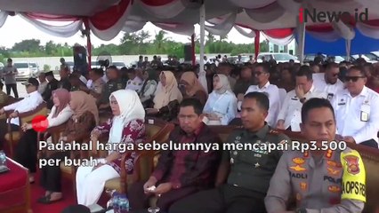 Harga di Tanjab Barat dan Riau Anjlok, Ini Janji Wamentan Kelapa Petani Kelapa