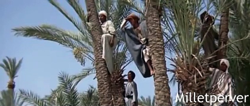 Talea'l-Bedru Aleyna (Ay Doğdu Üzerimize) طلع البدر علينا