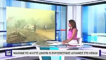 Yangın sonrası bulunan 18 cesetle ilgili Yunan spikerden kan donduran sözler: Kömürleşmiş göçmenler dışında insanımızı kaybetmedik