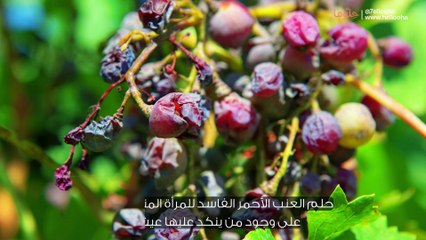 تفسير العنب الأحمر في المنام للمتزوجة