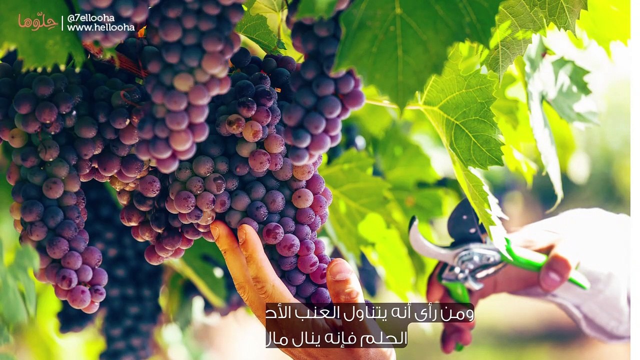 تفسير حلم أكل العنب الأحمر