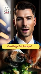 Can Dogs Eat Papaya | Dog Food Review | Zudaan