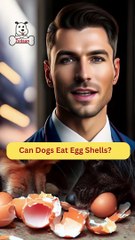 Can Dogs Eat Egg Shells | Dog Food Review | Zudaan