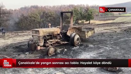 Çanakkale'de yangın sonrası acı tablo: Hayalet köye döndü