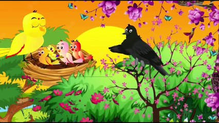 पक्षी कार्टून - Shadi wala Cartoon - Tuni Chidiya wala Cartoon - Hindi Cartoon Kahaniyan -Chichu TV