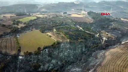 Çanakkale'deki orman yangınında 3'üncü gün