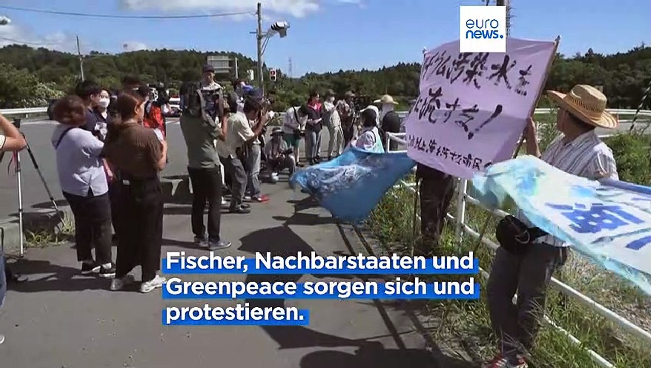 Japan beginnt Verklappung von AKW-Wasser, China verbietet japanischen Fisch
