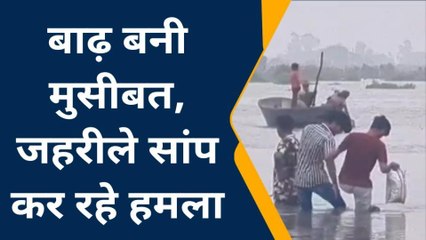 कन्नौज: बाढ़ में निकल रहे जहरीले सांप ने बच्ची को काटा, हालत गंभीर