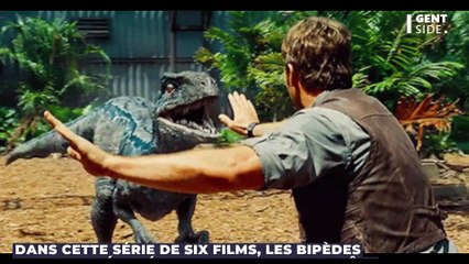 Voici à quoi ressemblait le vélociraptor, les fans de Jurassic Park vont être déçus