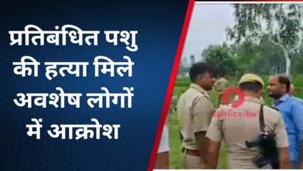 बाराबंकी में प्रतिबंधित पशु की निर्मम हत्या, अवशेष मिलने से मचा हड़कंप