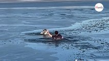 Si tuffa in acqua per salvare un cane: incredibile la reazione dei testimoni! (Video)