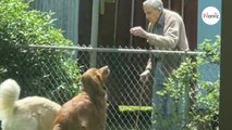 Vicino di casa 94enne si avvicina al recinto: il suo tenero gesto commuove tutti (Video)
