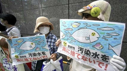 Japan leitet Fukushima-Kühlwasser ins Meer - trotz Protesten