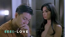 The Seed of Love: Is there a second chance for the ex-lovers? (Episode 78)