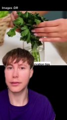 Des astuces pour conserver tes fruits plus longtemps 