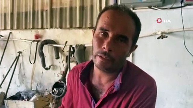 ''Hayvan sevgisi'' deyip öyle bir şey yaptı ki...