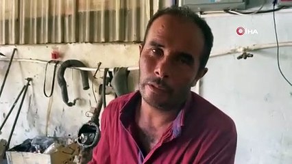 ''Hayvan sevgisi'' deyip öyle bir şey yaptı ki...