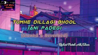 Tumhe Dillagi Bhool Jani Padegi Lofi Mix | Rahat Fateh Ali Khan| Huma Qureshi and Vidyut Jamwal| Lofi Wala Banda