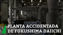 Así luce la planta accidentada de Fukushima Daiichi, en Japón
