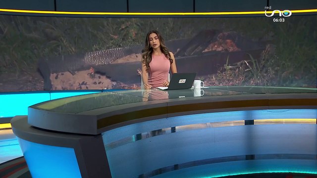 Encuentran ataúd con restos óseos en la zona Plan 3.000