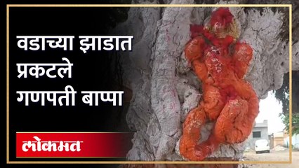 वडाच्या झाडात प्रकटले गणपती बाप्पा -_1