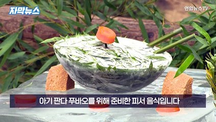 [자막뉴스] 푸바오의 마지막 여름나기…쌍둥이 판다 이름은?