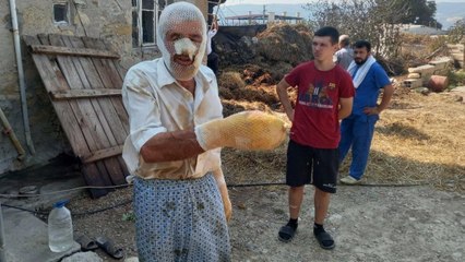 Alevlerin sardığı ahırdan hayvanların kurtarmak isterken