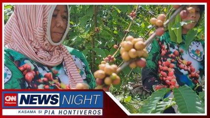 Pagtatanim ng kape bagong kabuhayan ng mga taga Tuburan, Cebu