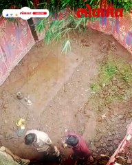 बापरे!  ४० दिवस मुलीचं प्रेत मिठाच्या खड्ड्यात बापानं का ठेवलं?