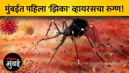 मुंबईत आढळला पहिला 'झिका'चा रुग्ण, परिसरात तपासणी सुरू