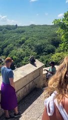 Bartering With Wild Monkeys In Bali