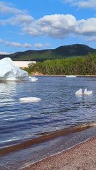 Beached Icebergs in Canada