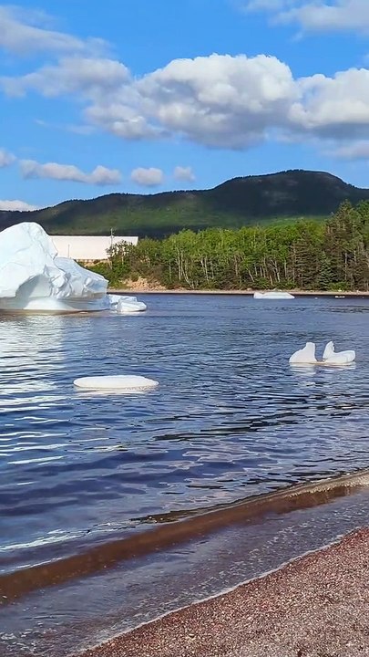 Beached Icebergs in Canada