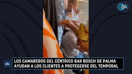Los camareros del céntrico Bar Bosch de Palma ayudan a los clientes a protegerse del temporal