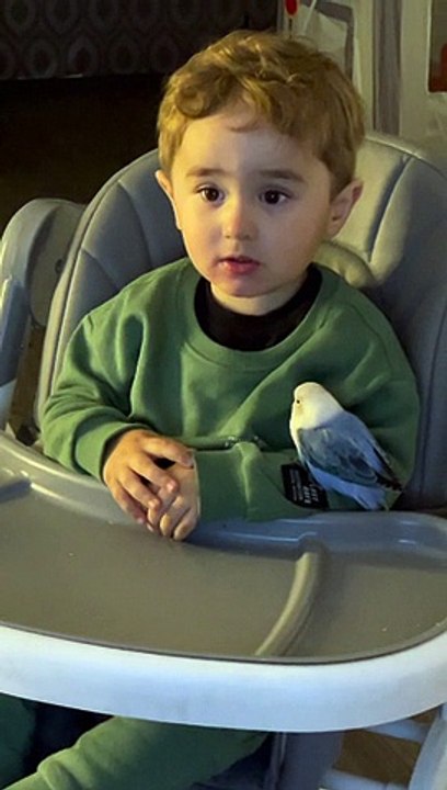 A Lovebird and His Best Friend