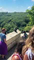 Bartering With Wild Monkeys In Bali