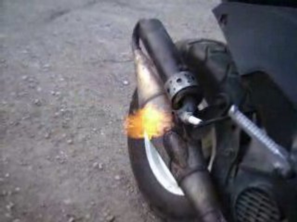 Malabar flamme
