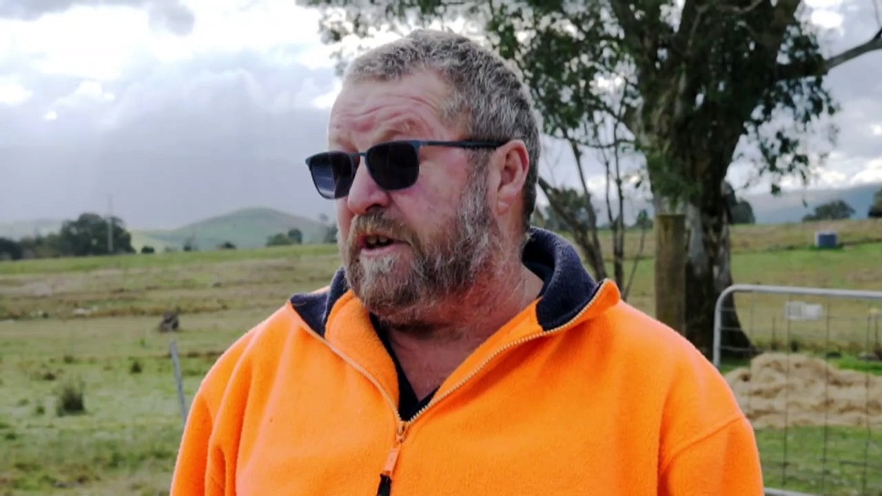 Drop in native timber logging brings fears of bushfire vulnerability