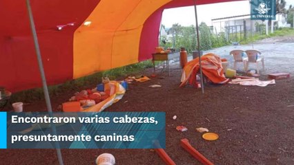 ¿Barbacoa de perro? Esto se descubrió en un puesto de Tizayuca