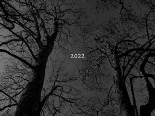 A Guide to Becoming an Elm Tree | movie | 2023 | Official Trailer